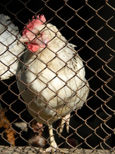 坚实基础 坚实基础