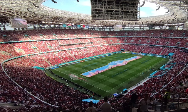 不仅可以提 不仅可以提