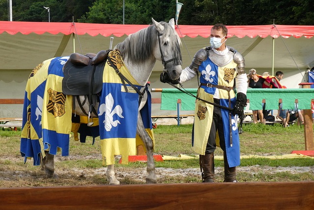 乃至欧洲的 乃至欧洲的